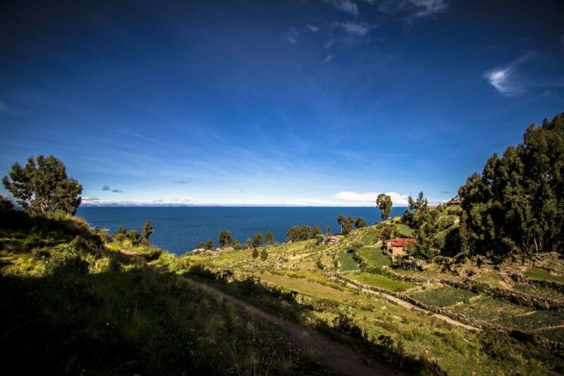 puno-uros-and-taquile-islands-tour-including-lunch