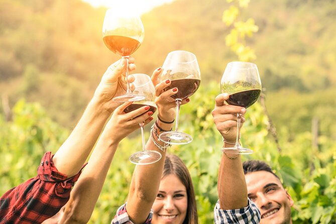 Queenstown Gin, Wine & Beer Tour | Adults Only - Value and practicality