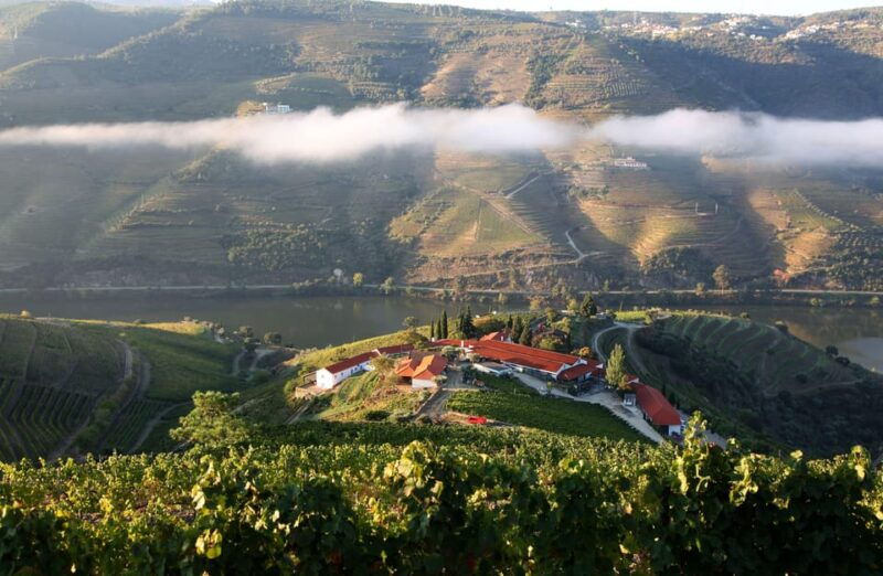 quinta-nova-2-terroirs-wine-tour-tasting