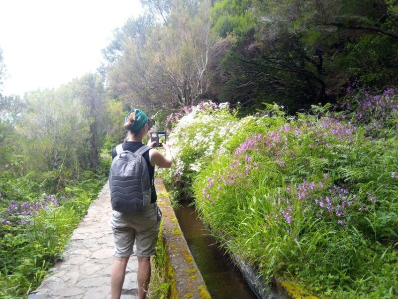 rabacal-wind-lagoon-risco-levada-and-25-fontes-levada