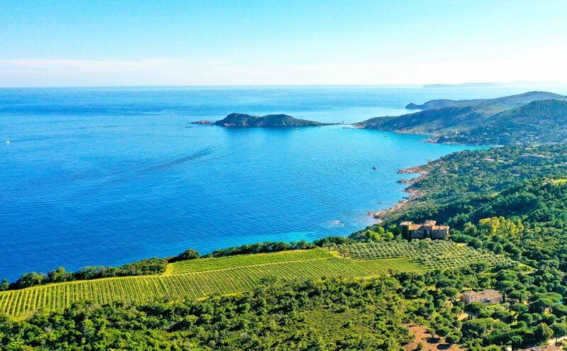 ramatuelle-tracks-tasting-winery-tour-by-mountain-e-bike