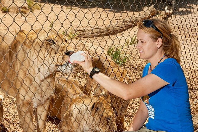 Ranger Mystery Tour at Werribee Open Range Zoo - excl. entry - Practical Details and Tips for Visitors