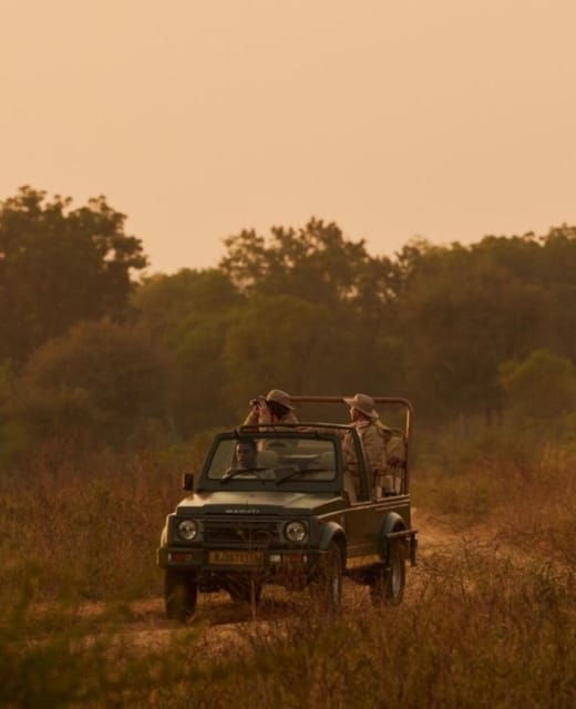 ranthambhore-ranthambhore-tiger-reserve-booking