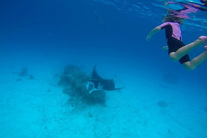Reef Discovery Private Full Day Lagoon Tour & Motu Lunch - The Review from a Guest Perspective