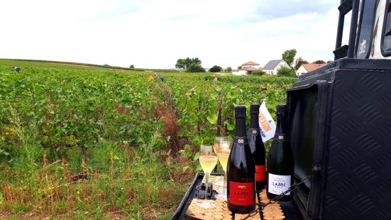reims-the-unmissable-tradition-panoramic-tasting