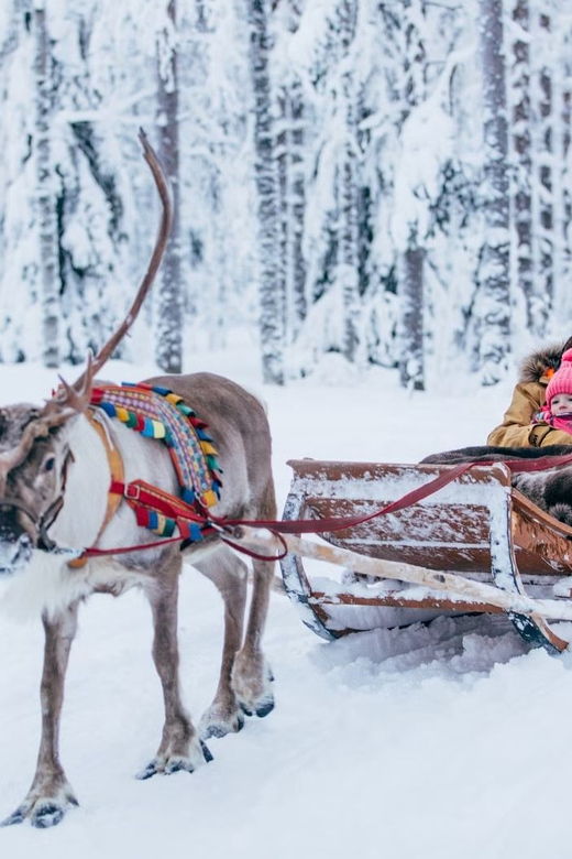 reindeer-farm-visit-with-sleigh-ride