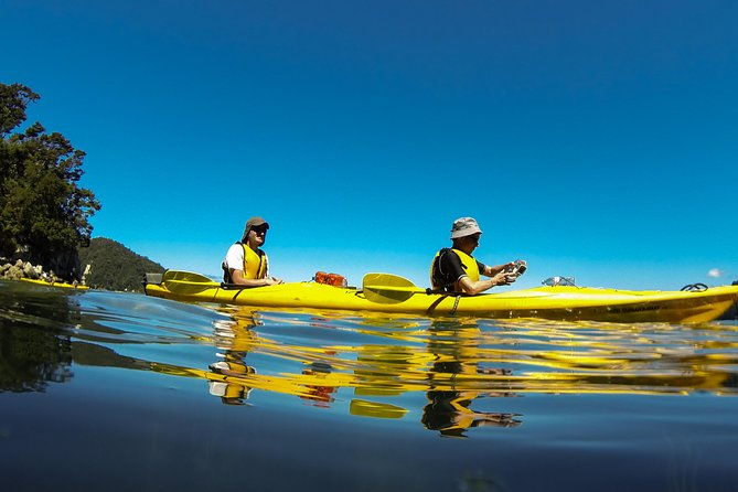 Remote Marine Reserve - Guided Kayaking - New Zealand - An In-Depth Look at the Guided Kayaking Experience
