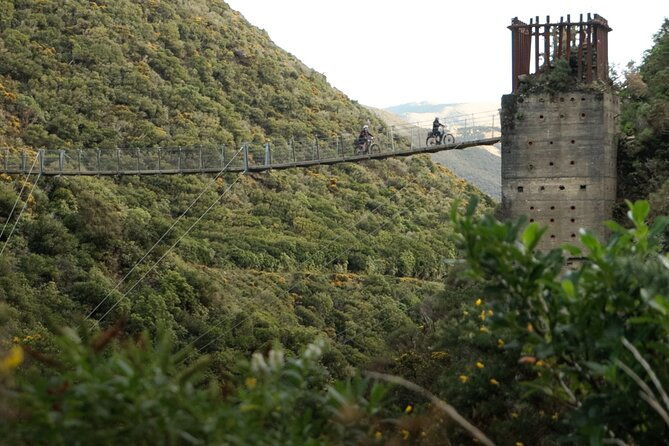 Remutaka Rail Trail eBike Explorer Cycle Tour - The Practical Side: What You Need to Know