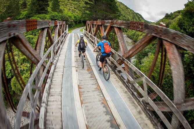 Remutaka Rail Trail eBike Explorer Cycle Tour - Authentic Insights from Past Participants
