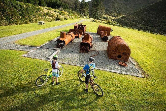 Remutaka Rail Trail Explorer - eBike Cruise Ship Shore Excursion - Authentic Experiences & Reviewer Insights