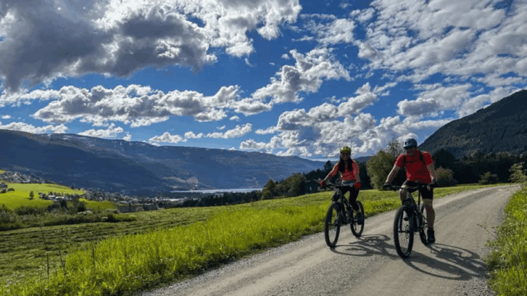 rentals-mountain-bike-full-suspension