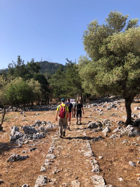 rhodes-salakos-to-profitis-ilias-4-hours-guided-hike