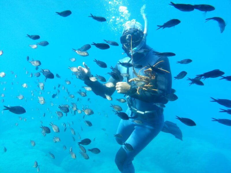 rhodes-town-yellow-submarine-cruise-with-underwater-views