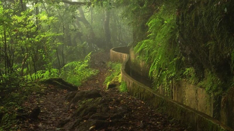 ribeiro-frio-portela-full-day-hike