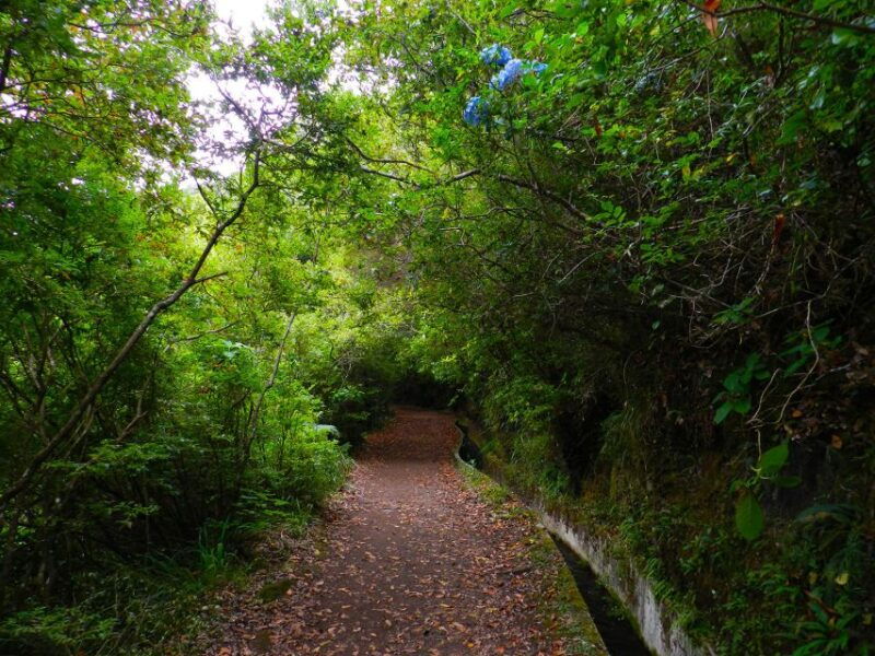 ribeiro-frio-portela-levada-walk