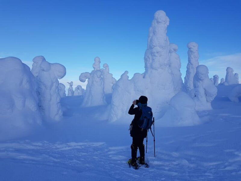 riisitunturi-national-park-snowshoe-experience-2