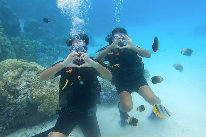 Romantic Dive for beginners in Bora Bora (2 people) with Video - What Makes This Tour Stand Out?