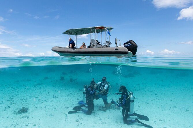 Romantic dive in the lagoon of Bora Bora - The Itinerary: What Exactly Happens During the Dive?