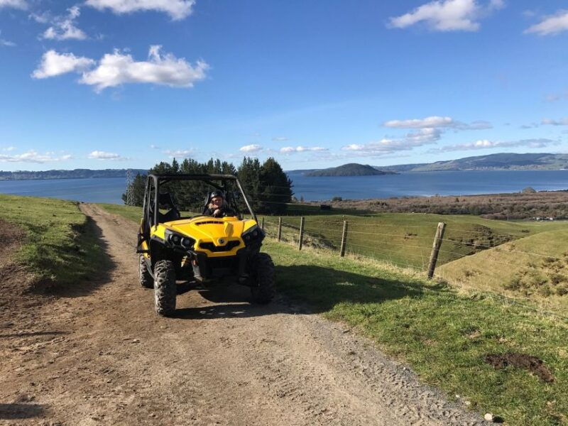 rotorua-4x4-self-drive-buggy-tour-through-farm-and-bushland