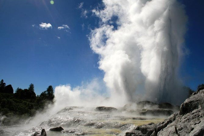 Rotorua Discovery Te Puia Tour - Transportation, Timing, and Comfort