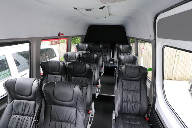 Rotorua to Auckland Afternoon Transfer with Waitomo Glow Worms - Final Thoughts: Is It Worth It?