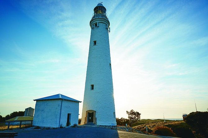 Rottnest Bayseeker Bus Tour from Hillarys Boat Harbour - Exploring the Itinerary: What Youll Experience