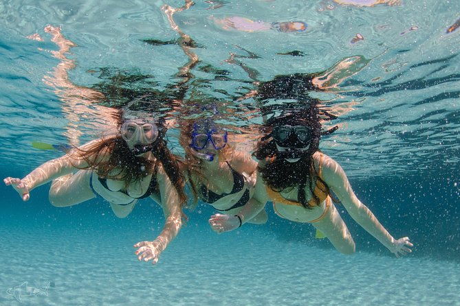 Rottnest Island 'Snorkel and Sail' - Why Choose the Rottnest Island Snorkel and Sail Tour?