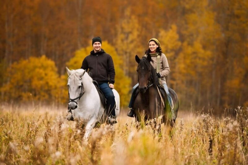 rovaniemi-horse-riding-in-arctic-wilderness