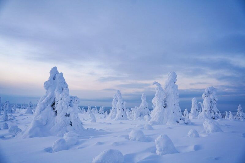 rovaniemi-riisitunturi-national-park-day-trip-with-lunch