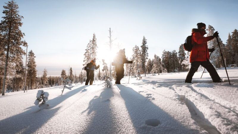 rovaniemi-ski-trekking-safari-in-lapland