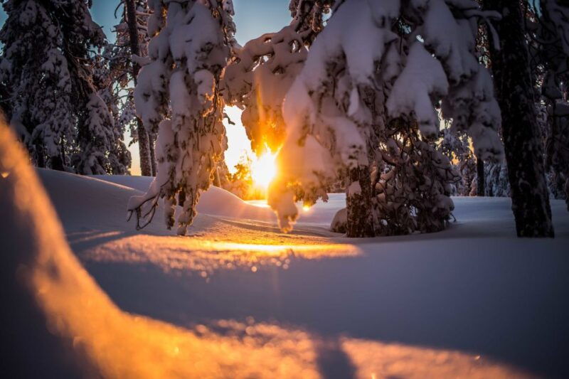 rovaniemi-snowshoe-wilderness-adventure
