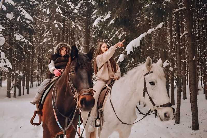 rovaniemi-winter-horse-riding-in-arctic-nature