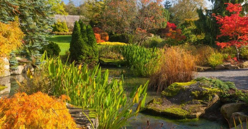 royal-horticultural-society-harlow-carr-garden-ticket