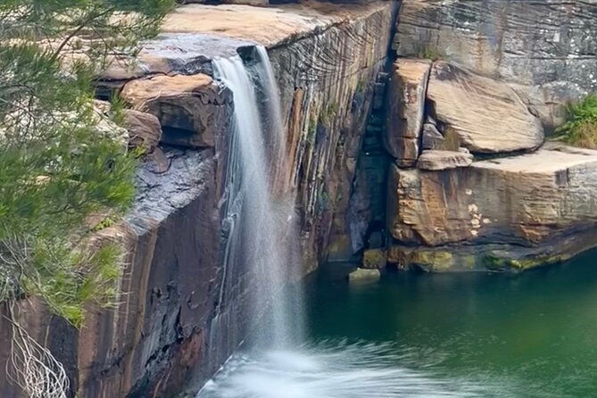Royal National Park Hike, Swim and Wildlife Tour - An In-Depth Look at the Itinerary