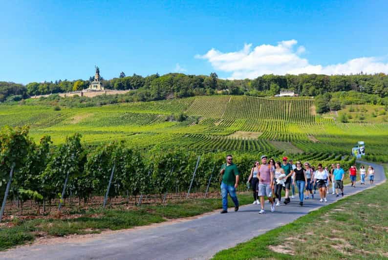 rudesheim-guided-wine-hikes-with-4wines-and-cable-car-ride