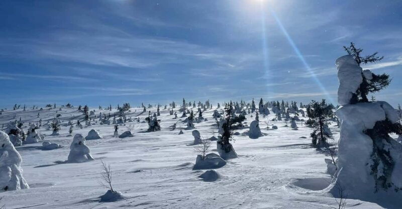 ruka-riisitunturi-national-park-with-lunch
