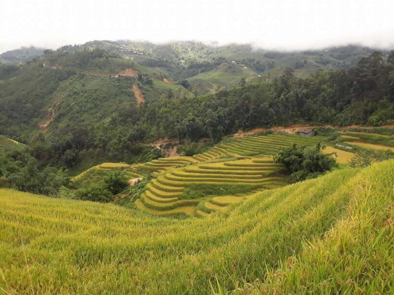 sa-pa-muong-hoa-valley-trek-and-local-ethnic-villages