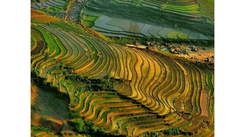 sa-pa-muong-hoa-valley-trek-ethnic-villages-tour