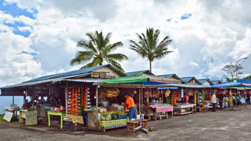 sabah-kundasang-nature-day-tour