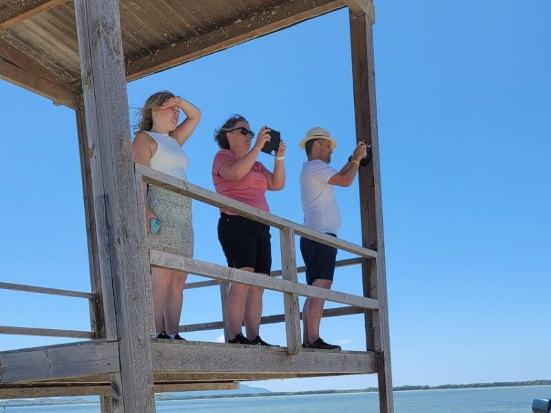 safari-birdwatching-in-vjosa-narta-protected-landscape