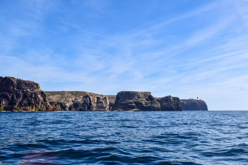 sagres-wildlife-tour-dolphins-and-caves