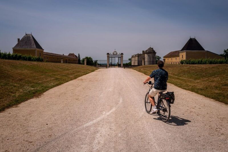 saint-emilion-half-day-ebike-and-wine-tour-with-picnic