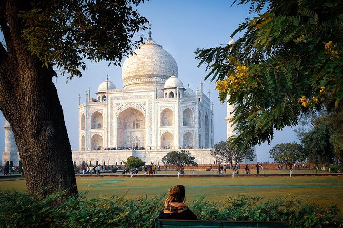 Same Day Private Tour of Agra - The Authentic Touches & Reviewer Insights