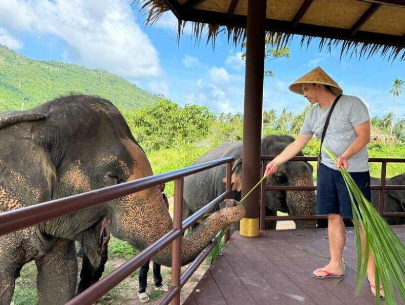 samui-the-first-elephant-museum-jungle-walk-with-elephant