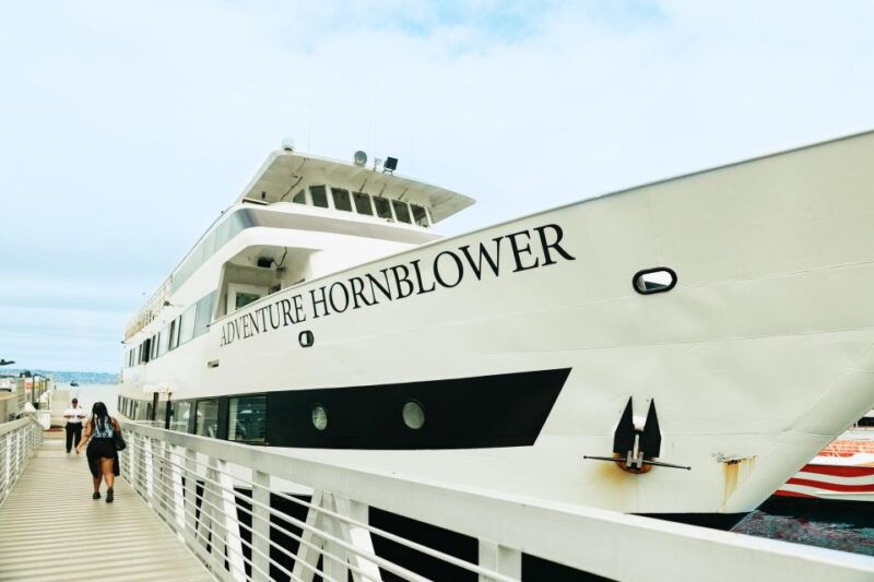 san-diego-whale-and-dolphin-watching-cruise