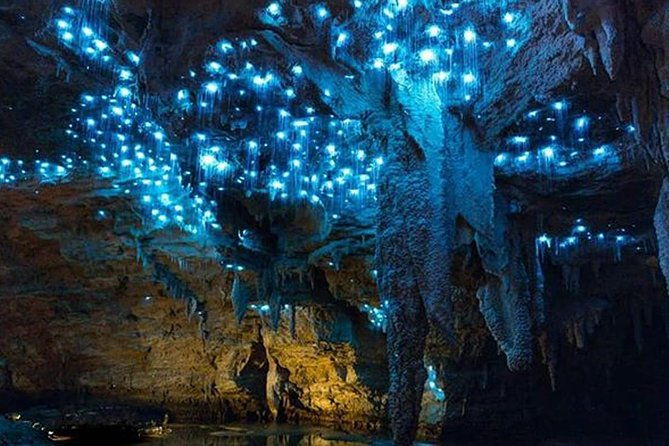 Sanctuary Mountain (Mt Maungatautari) & Waitomo Luxury Day tour from Auckland - Discovering Sanctuary Mountain (Mt Maungatautari)