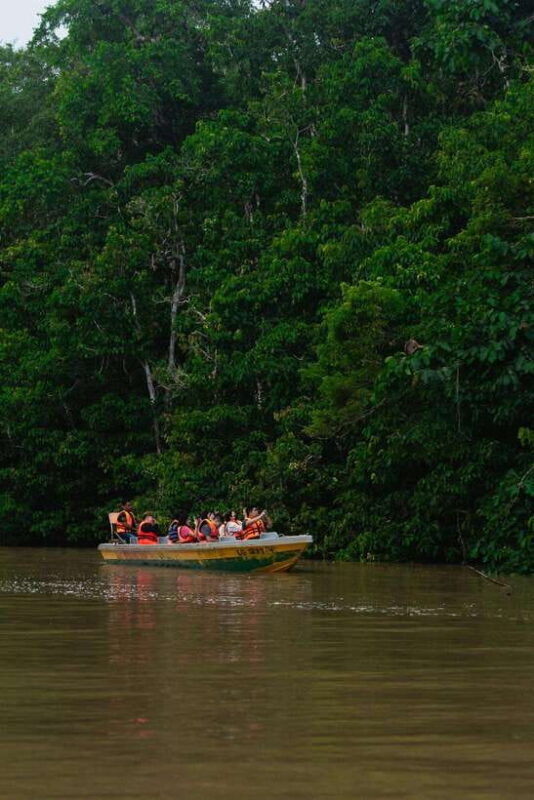 sandakan-kinabatangan-river-wildlife-cruise-with-lunch