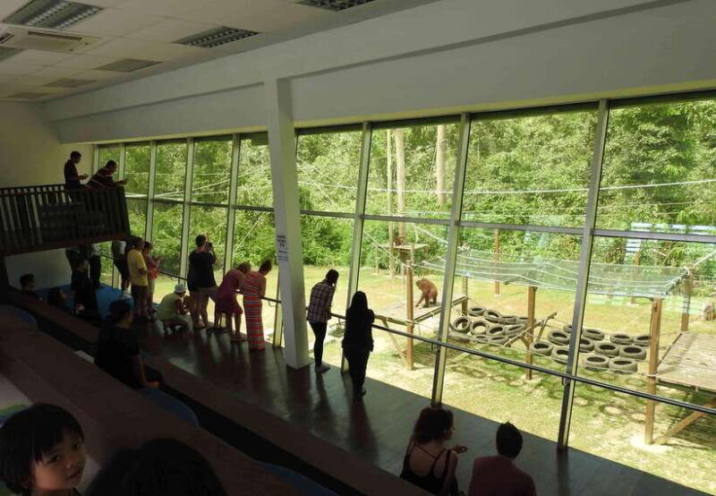 sandakan-orangutan-sanctuary-shared-day-trip-tour