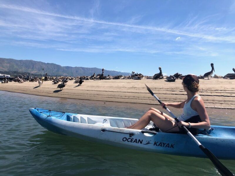 santa-barbara-1-5-hour-harbor-kayak-tour