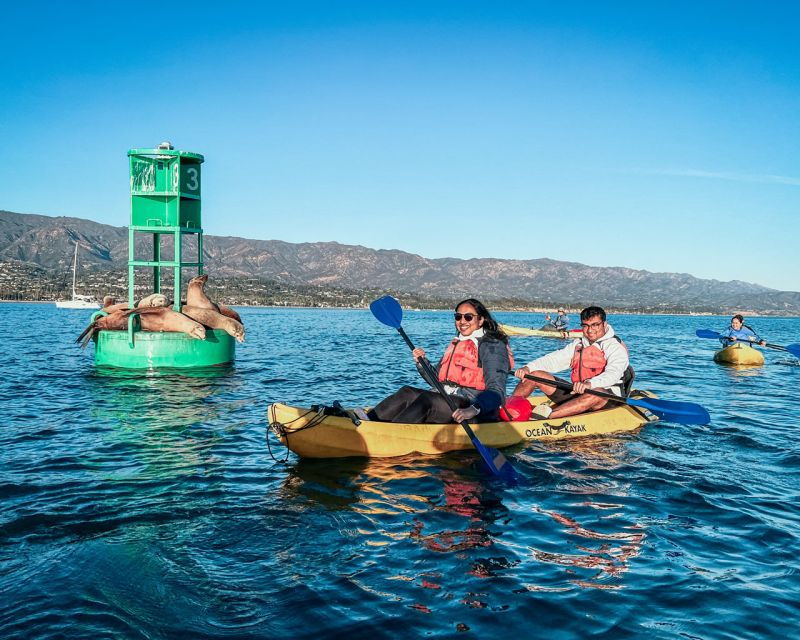 santa-barbara-harbor-wildlife-kayak-tour-2-hours